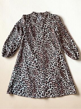 Leopard Print A-Line Dress in Brown and Black